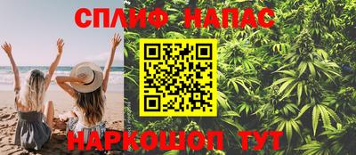 крисы Аргун