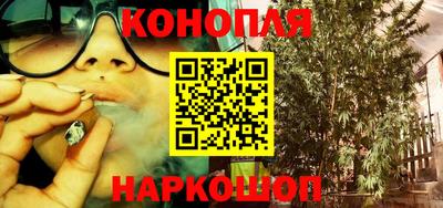 крисы Аргун