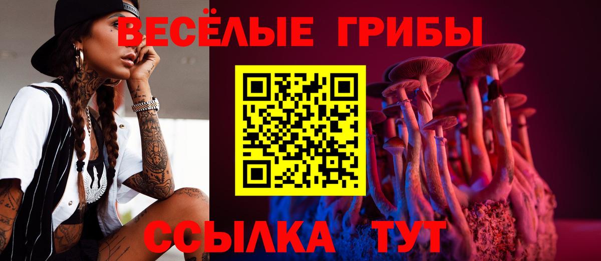 Галлюциногенные грибы мухоморы Асбест